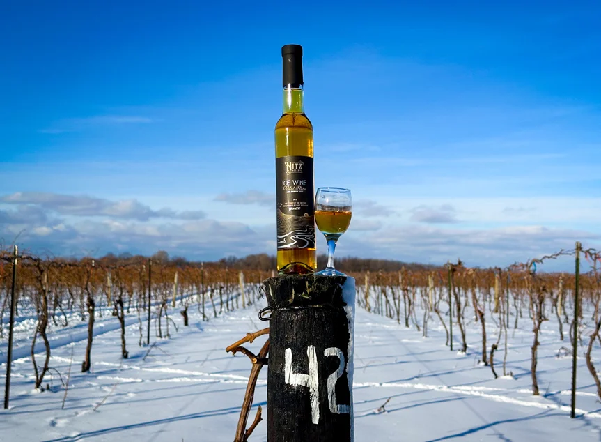 Nitz Reserve Ice Wine on a vineyard post in Winter